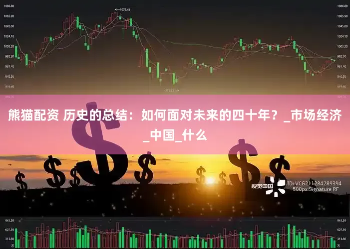 熊猫配资 历史的总结：如何面对未来的四十年？_市场经济_中国_什么