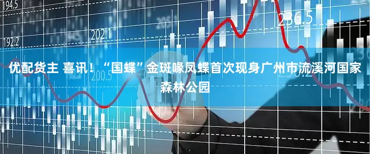 优配货主 喜讯！“国蝶”金斑喙凤蝶首次现身广州市流溪河国家森林公园