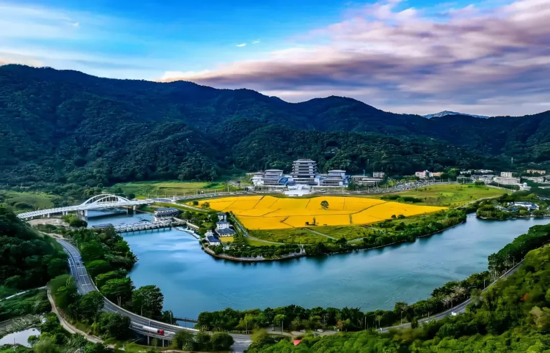 申捷策略 从化长汀建立对口合作长效机制，多领域突破绘就“老区 + 湾区”振兴新图景