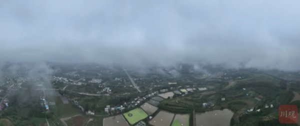 易配宝 “成都产”PK“阳澄湖”，本地大闸蟹潜力何在？